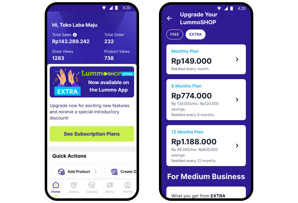 Creating subscription tiers for a bookkeeping app